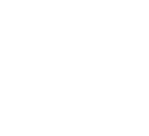 Icon Finanzen