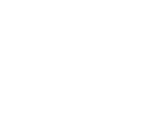 Icon Resilienz